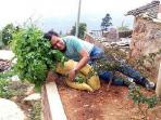 li-dan-lobak-raksasa-miliknya_20150415_150653.jpg