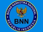 logo-bnn_20170331_120549.jpg