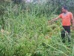 lokasi-pencabulan-di-Jejangkit-Kabupaten-Barito-Kuala-Batola-kalsel-Selasa-06092022.jpg