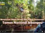 menelusuri-indah-dan-eksotiknya-taman-nasional-sebangau.jpg