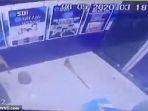monyet-bobol-atm-di-india.jpg