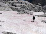 para-ilmuwan-di-italia-tengah-meneliti-munculnya-es-berwarna-pink-di-pegunungan-alpen.jpg
