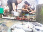 pedagang-ikan-di-pasar-martapura-sibuk-beraktivitas.jpg