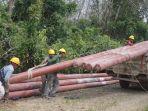 pekerja-memuat-tiang-listrik-dari-PLN-Tanjung-Tabalong-untuk-disalurkan-ke-desa-terpencil.jpg