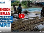 pekerja-pembersih-rotan-di-desa-telaga-biru-sampit.jpg