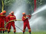 pemadam-kebakaran-semprotkan-air_20160530_104640.jpg