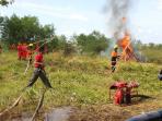 pemadaman-lahan-palangkaraya.jpg