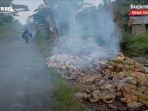 pembakaran-tumpukan-sabut-kelapa-di-tepi-jalan-sampit-kalteng-selasa-2872020-1.jpg