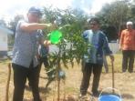 penghijauan-di-halaman-intake-sambung-makmur_20160714_200717.jpg