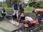peninjauan-langsung-ke-Komplek-Budidaya-Ikan-Keramba-di-Banjarmasin.jpg