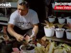 penjual-tanaman-hias-di-jalan-tjilik-riwut-sampit-kabupaten-kotim-rabu-18112020.jpg