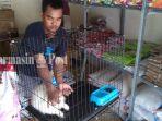 perawatan-kucing-di-ar-raudah-petshop-sebelum-dikembalikan-ke-pemiliknya.jpg
