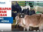persiapan-hewan-kurban-jelang-idul-adha.jpg