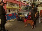 personel-unit-k9-ditsamapta-polda-kalsel-dibantu-satwa-pelacak.jpg