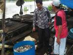petani-keramba-di-paminggir-hsu-kaget-ribuan-ikan-mati-mandadak_20161013_150736.jpg
