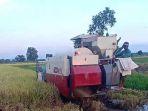 petani-memanen-padi-menggunakan-alat-mesin-panen-sehingga-mam.jpg
