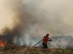 petugas-berupaya-memadamkan-kebakaran-hutan-di-ogan-ilir_20150912_171008.jpg