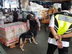 petugas-dan-anjing-pelacak-saat-di-bandara-syamsudin-noor.jpg
