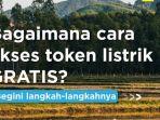 pln-bagi-cara-akses-token-listrik-gratis.jpg