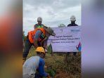 pln-uikl-kalimantan-tanam-100-pohon.jpg