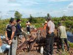 polisi-dan-petugas-dari-tn-sebangau-saat-menyambangi-lokasi-tumpukkan-kayu.jpg