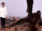 presiden-joko-widodo-meninjau-lahan-yang-terbakar-di-banjarbaru_20151030_235655.jpg