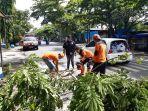 proses-pembersihan-dahan-dan-batang-pohon-usai-angin-kencang-di-banjarmasin.jpg
