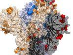 protein-lonjakan-omicron-dengan-mutasi-baru-terlihat-dalam-warna-merah-biru-emas-dan-hitam.jpg