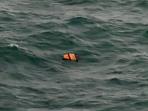 puing-yang-diduga-milik-airasia-qz8501.jpg
