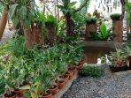 rumah-anggrek-pada-ai-flora-tanahlaut-kepada-pengunjung.jpg