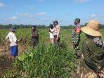 satgas-karhutla-lampihong-mengecek-lahan-di-desa-kandang.jpg