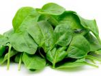 sayur-bayam.jpg