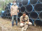 seekor-anjing-liar-di-kawasan-komplek-tirta-dharma-diamankan.jpg