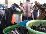 suasana-aktivitas-jual-beli-ikan.jpg