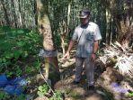 suparmin-petani-karet-di-desa-budi-mulya.jpg