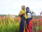 taman-bunga-celosia-di-kawasan-agrowisata-talaran-setara.jpg