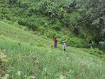 tanaman-bawang-merah-di-lereng-bukit-desa-asam-randah-tapin_20160205_160020.jpg