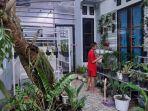 tanaman-hias-anisa-raudah.jpg