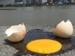 telur-di-atas-trotoar_20150806_084115.jpg