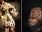 tengkorak-australopithecus-anamensis-kiri-dan-hasil-rekonstruksi-kanan.jpg