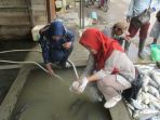 tim-dari-balai-karantina-mengambil-sampel-air-di-lampihong-balangan_20170220_122527.jpg