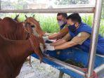 tim-dokter-hewan-dan-petugas-lapangan-dinas-ketahanan-pangan-kota-tangerang.jpg