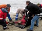tim-penyelamat-sedang-mengevakuasi-mayat-seorang-pengungsi_20160106_115621.jpg