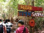 tn-sebangau-merupakan-salah-satu-objek-wisata-alam-yang-ada-di-kalteng.jpg