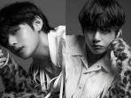 v-bts-2.jpg