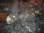 wa-kota-tewas-terpanggang-saat-rumahnya-terbakar-di-pulaulaut-tengah_20170831_084320.jpg