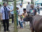 wabup-hss-syamsuri-arsyad-menyerahkan-sapi-kurban-idul-adha-2022.jpg
