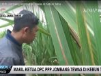 wakil-ketua-dpc-ppp-jombang-tewas-di-kebun-tebu_20180317_205559.jpg