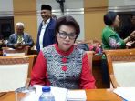 wakil-ketua-kpk-basaria-panjaitan_20170917_075851.jpg