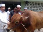 wali-kota-ibnu-sina-menyerahkan-sapi-kurban_20160911_142428.jpg